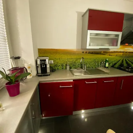 Turzyn Apartament: Idealne Miejsce Na Twoj Wypoczynek Apartmán